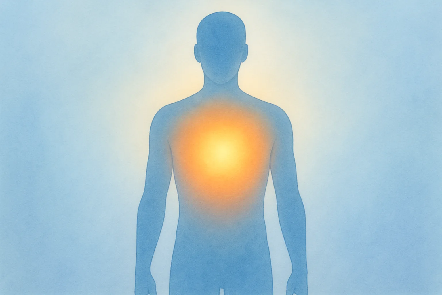 인체 체온 조절과 영양 성분의 체내 흡수 과정을 설명하는 도식적인 모습입니다.