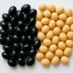 글리시테인이 풍부한 신선한 검은콩과 일반 노란 대두가 함께 놓여 있는 모습입니다.