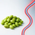 신선한 대두와 탄력 있는 혈관의 형상을 결합하여 혈관 건강의 개념을 표현한 이미지입니다.