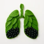 호흡기 건강과 검은콩의 영양학적 연관성을 직관적으로 표현한 구성입니다.